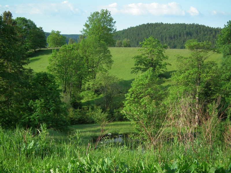 140606_foto_013.jpg
