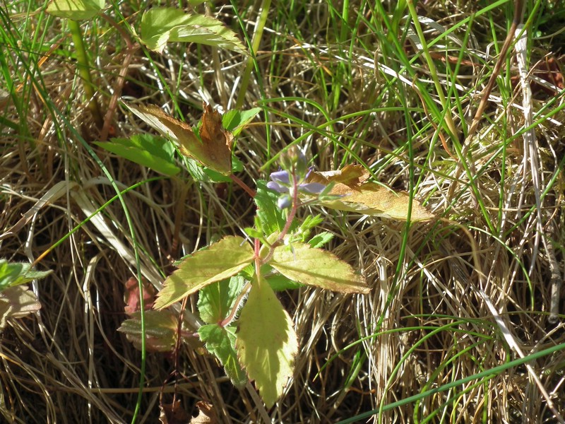 140606_foto_059.jpg