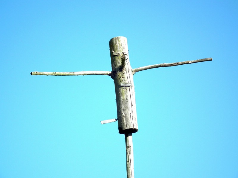 140606_foto_063.jpg