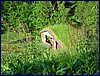 140606_foto_012.jpg