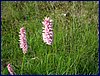 140606_foto_057.jpg