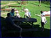 140607_foto_078.jpg