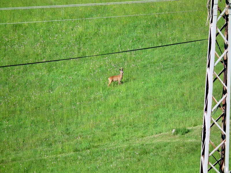 150608_foto_002.jpg