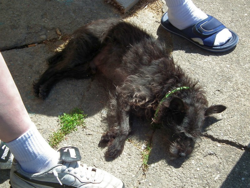 150608_foto_015.jpg