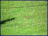 150608_foto_001.jpg