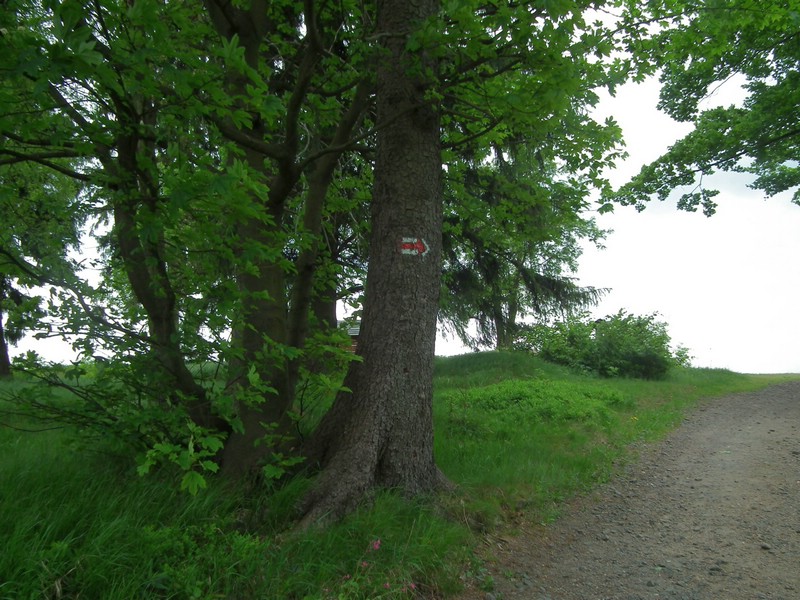 20150607_foto_016.jpg