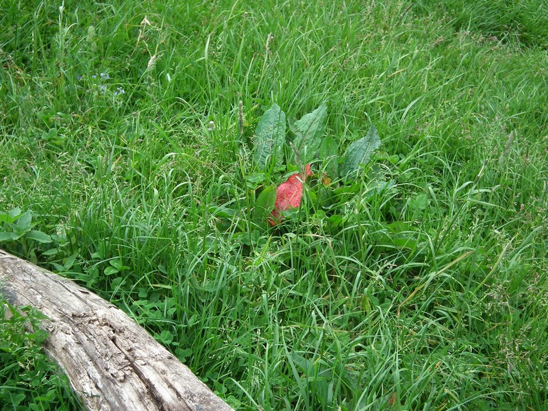 20150607_foto_023.jpg