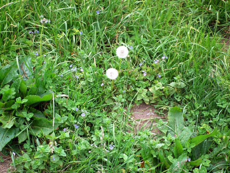 20150607_foto_024.jpg