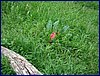 20150607_foto_023.jpg