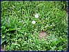 20150607_foto_024.jpg