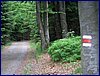 20150607_foto_028.jpg