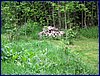 20150607_foto_034.jpg