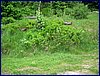 20150607_foto_040.jpg