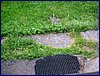 20150607_foto_050.jpg