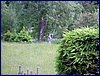 20150611_foto_027.jpg