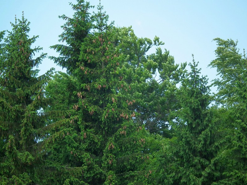 20150612_foto_022.jpg