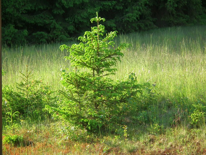 20150612_foto_043.jpg