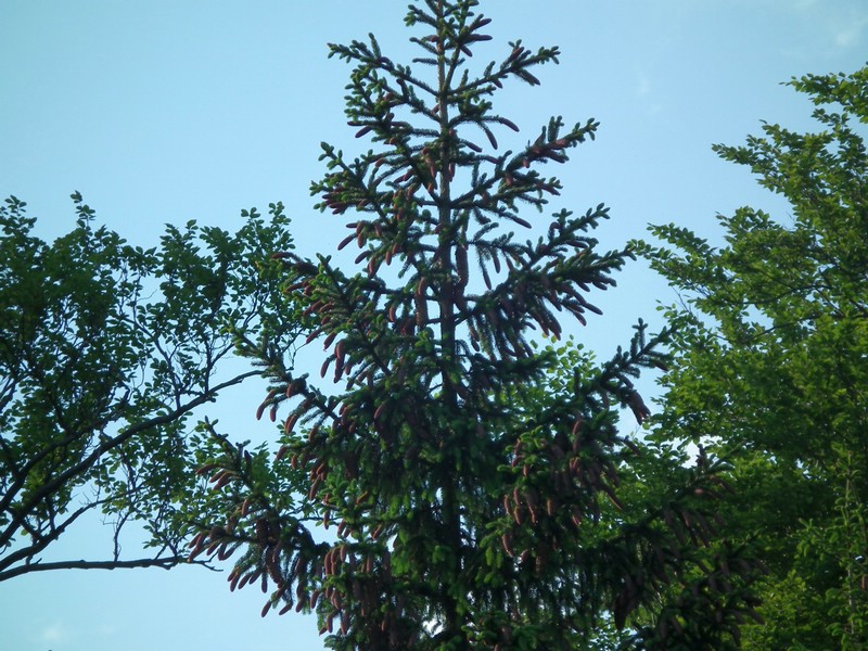 20150612_foto_044.jpg