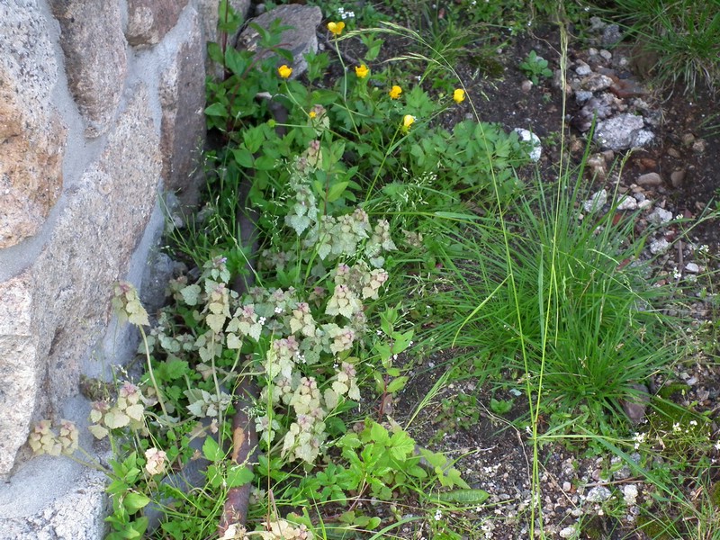 20150612_foto_051.jpg