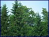20150612_foto_022.jpg