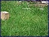 20150612_foto_023.jpg