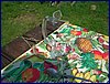 20150612_foto_037.jpg