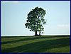 20150612_foto_041.jpg