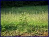 20150612_foto_042.jpg