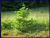 20150612_foto_043.jpg