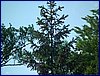 20150612_foto_044.jpg