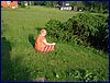 20150612_foto_049.jpg