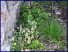 20150612_foto_051.jpg
