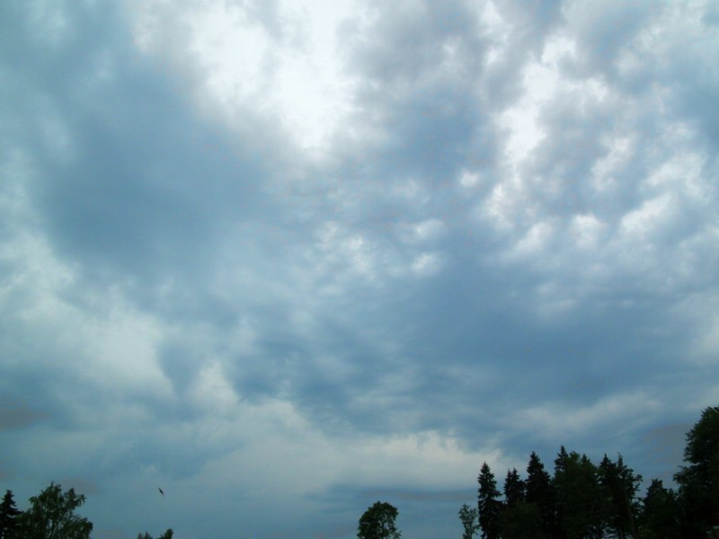 20150613_foto_013.jpg