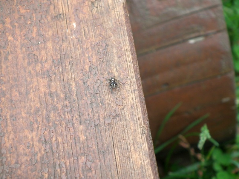 20150613_foto_018.jpg
