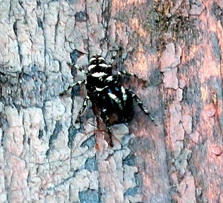 20150613_foto_019.jpg