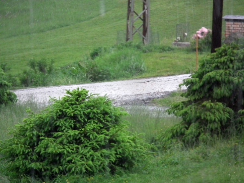 20150613_foto_022.jpg