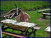20150613_foto_002.jpg