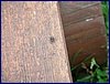 20150613_foto_018.jpg