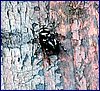 20150613_foto_019.jpg