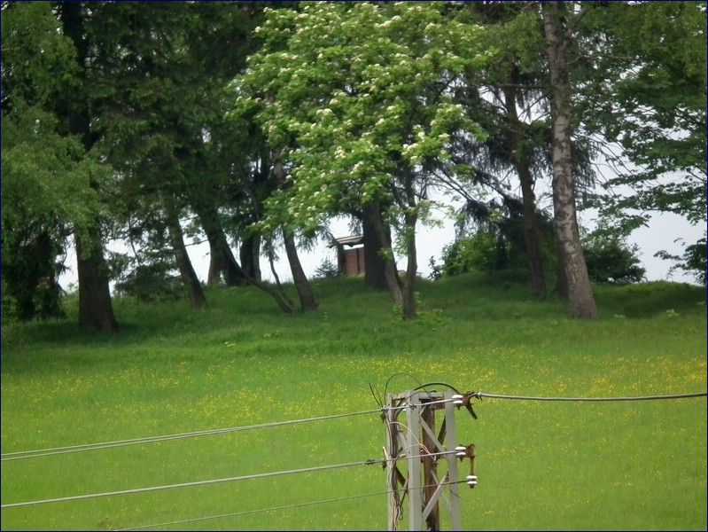 2016-06-04_foto 017.jpg