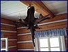 2016-06-05_foto 011.jpg