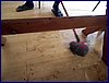 2016-06-06_foto 008.jpg