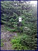 2016-06-07_070559.jpg