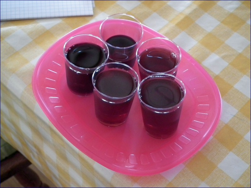 2016-06-08_foto004.jpg