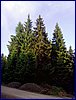 2016-06-08_064351.jpg