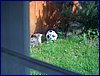 2016-06-08_foto024.jpg