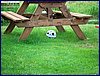 2016-06-08_foto032.jpg