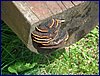 2016-06-09_foto016.jpg