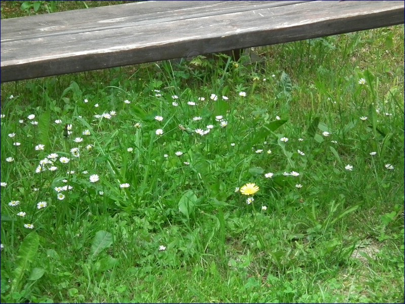 2016-06-10_foto018.jpg