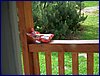 2016-06-10_foto006.jpg